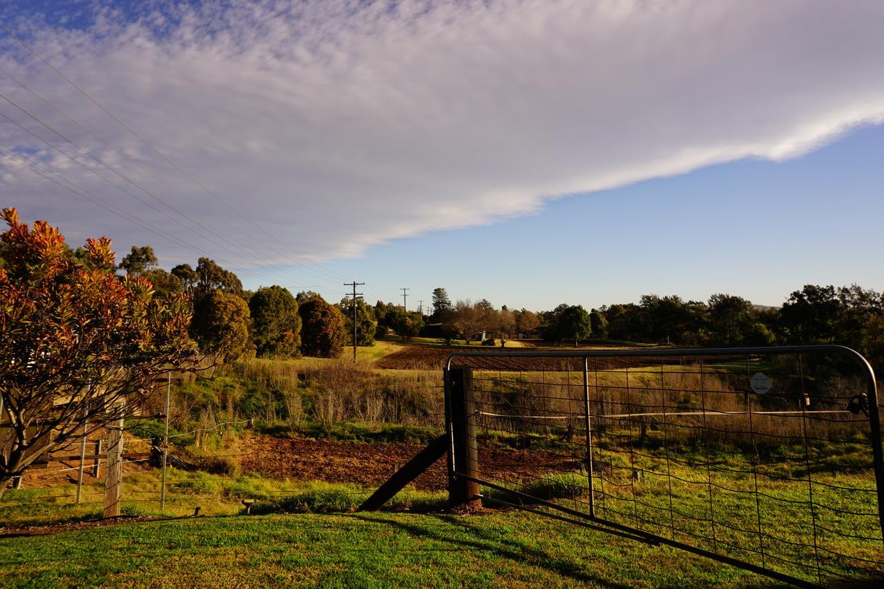 Muswellbrook Northside Bed & Breakfast Exterior photo